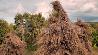 海菲尔德。 干草堆在森林附近的一个小田野上。 在田野上的乌克兰村庄海考克斯。 乡村景观。 绿色